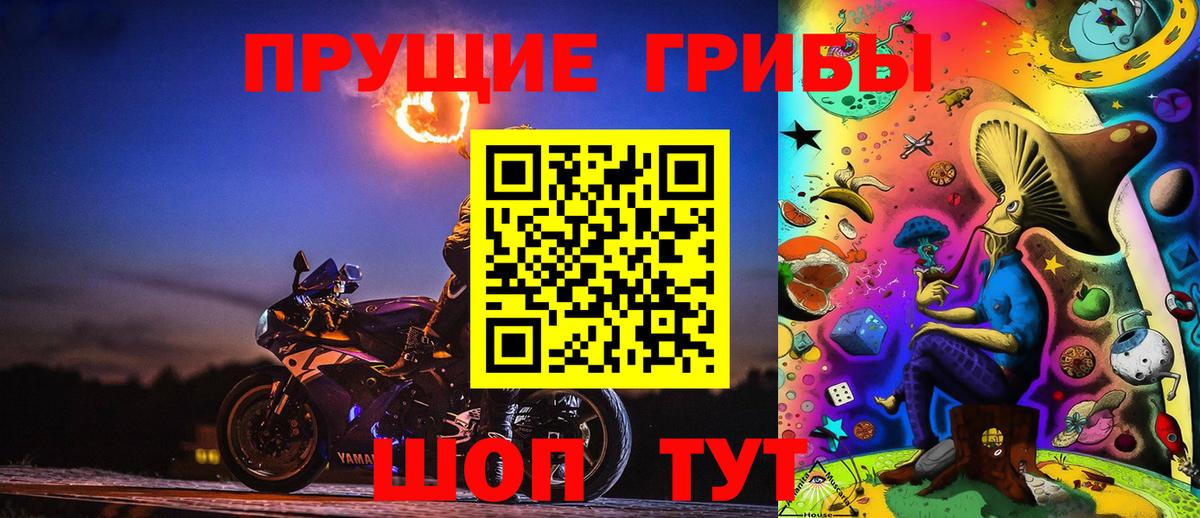 Красноармейск  Псилоцибиновые грибы мицелий  Вход с VPN 