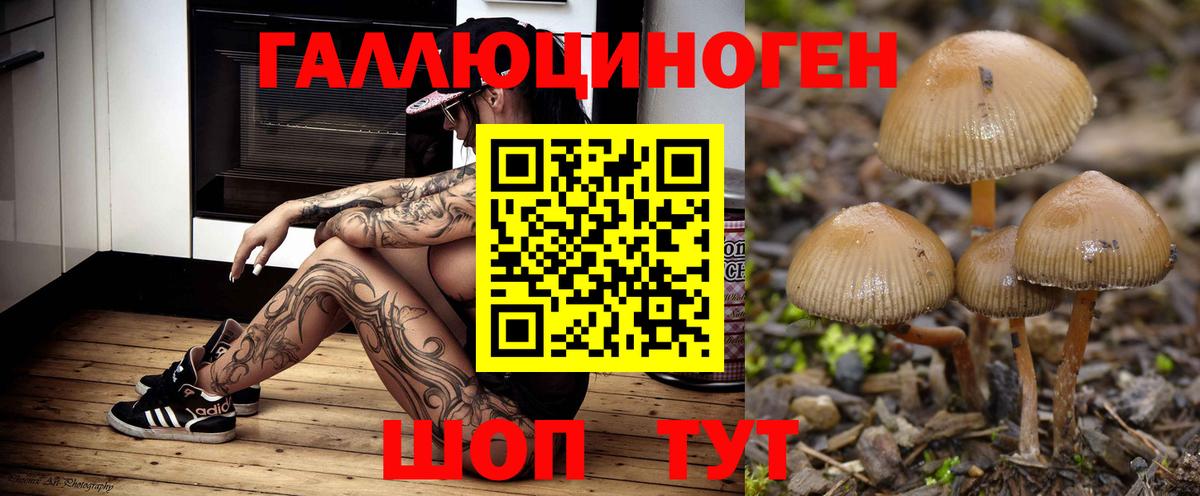 Псилоцибиновые грибы прущие грибы Красноармейск